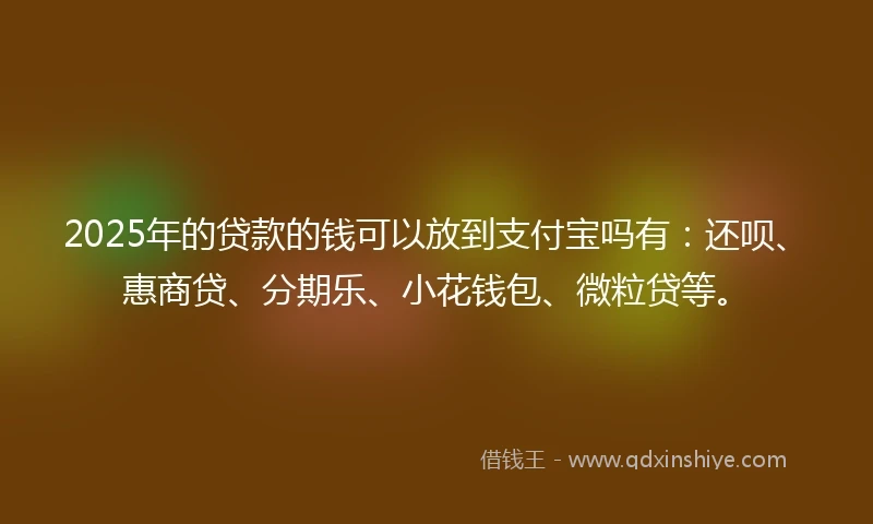 2025年的贷款的钱可以放到支付宝吗有：还呗、惠商贷、分期乐、小花钱包、微粒贷等。