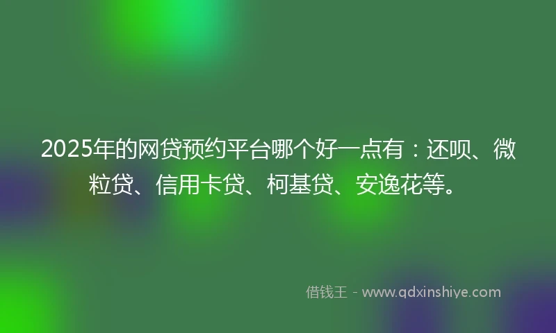 2025年的网贷预约平台哪个好一点有：还呗、微粒贷、信用卡贷、柯基贷、安逸花等。