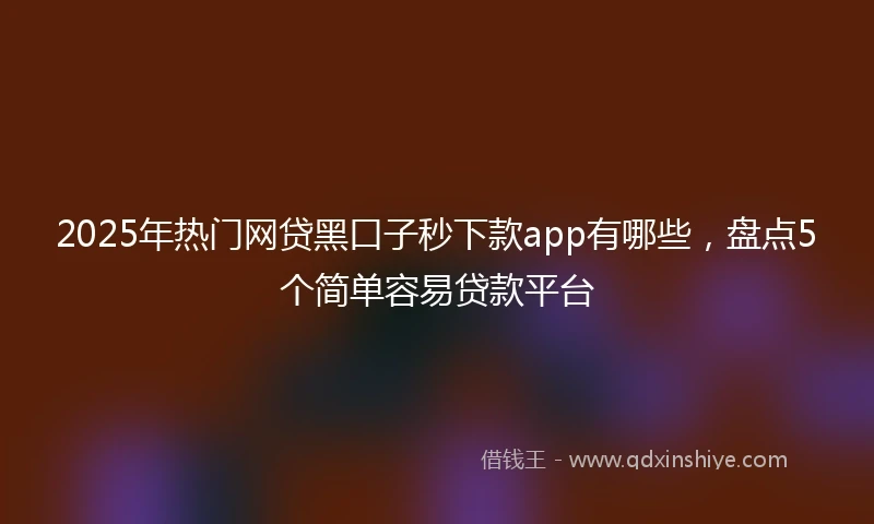 2025年热门网贷黑口子秒下款app有哪些，盘点5个简单容易贷款平台