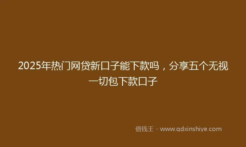 2025年热门网贷新口子能下款吗，分享五个无视一切包下款口子