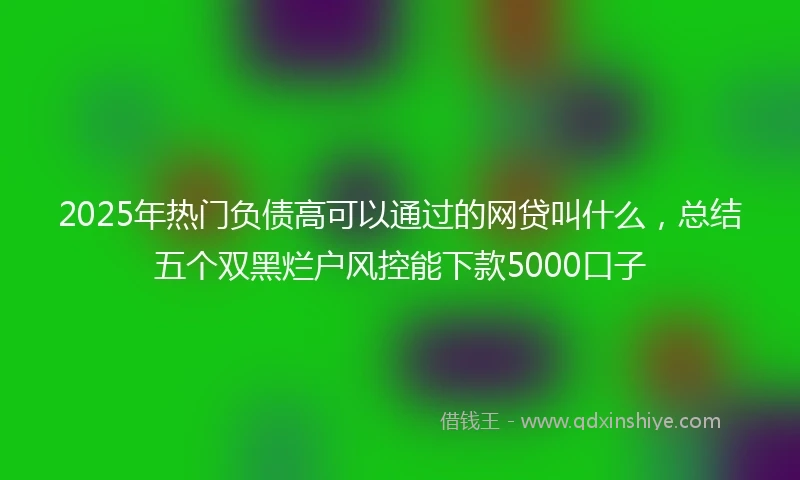 2025年热门负债高可以通过的网贷叫什么，总结五个双黑烂户风控能下款5000口子