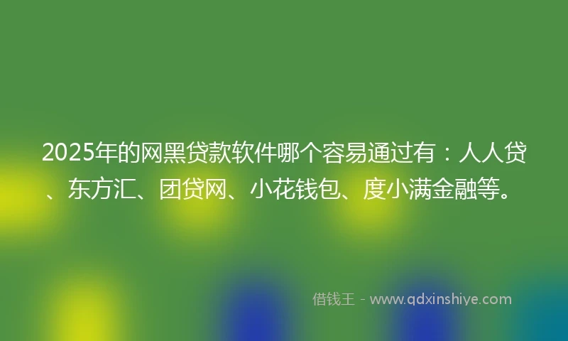 2025年的网黑贷款软件哪个容易通过有：人人贷、东方汇、团贷网、小花钱包、度小满金融等。