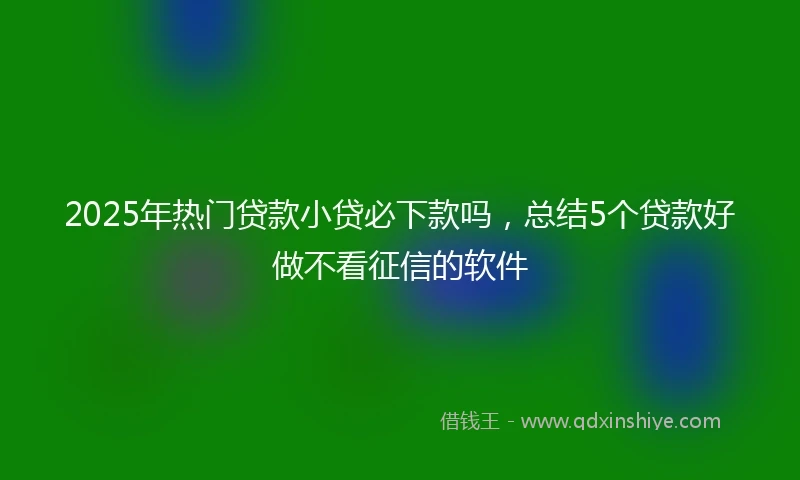 2025年热门贷款小贷必下款吗，总结5个贷款好做不看征信的软件