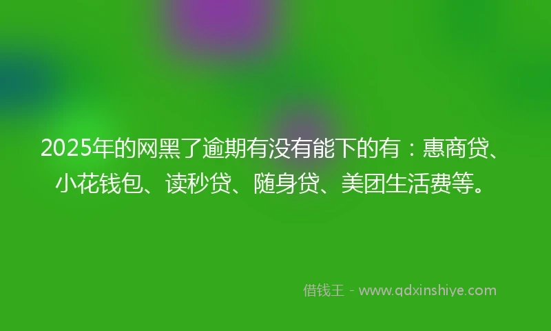 2025年的网黑了逾期有没有能下的有：惠商贷、小花钱包、读秒贷、随身贷、美团生活费等。