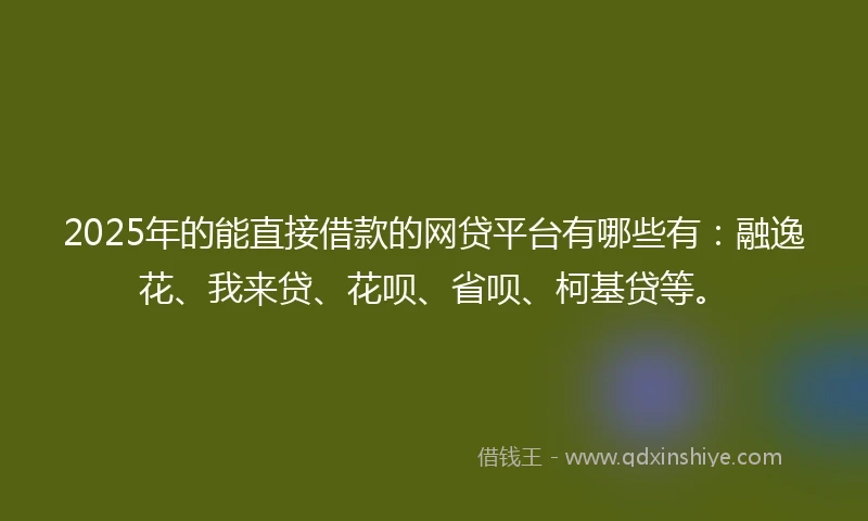 2025年的能直接借款的网贷平台有哪些有：融逸花、我来贷、花呗、省呗、柯基贷等。