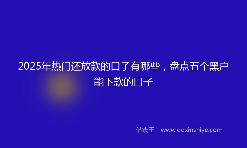 2025年热门还放款的口子有哪些，盘点五个黑户能下款的口子