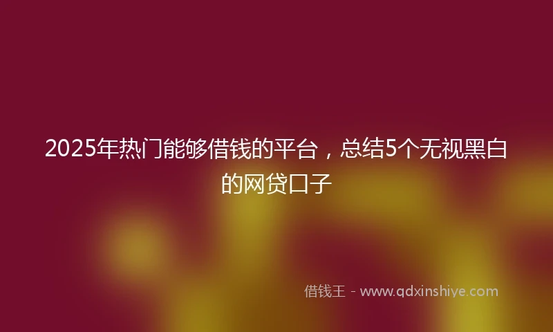 2025年热门能够借钱的平台，总结5个无视黑白的网贷口子