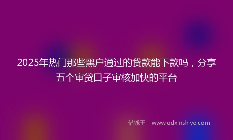2025年热门那些黑户通过的贷款能下款吗，分享五个审贷口子审核加快的平台