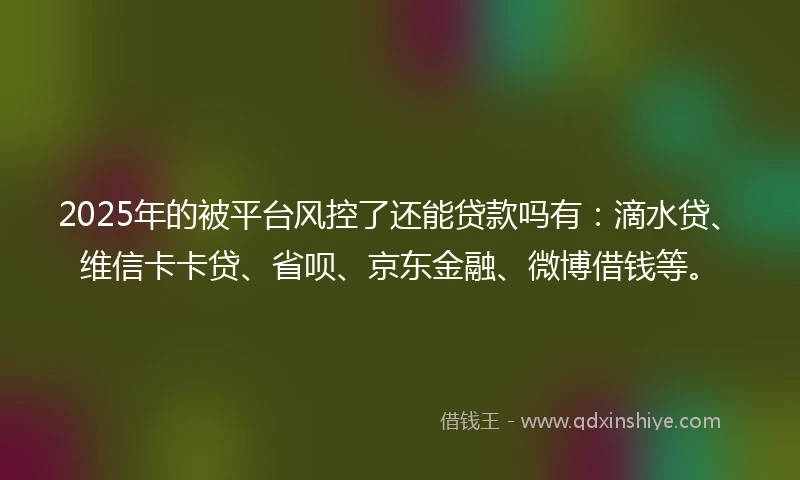 2025年的被平台风控了还能贷款吗有：滴水贷、维信卡卡贷、省呗、京东金融、微博借钱等。