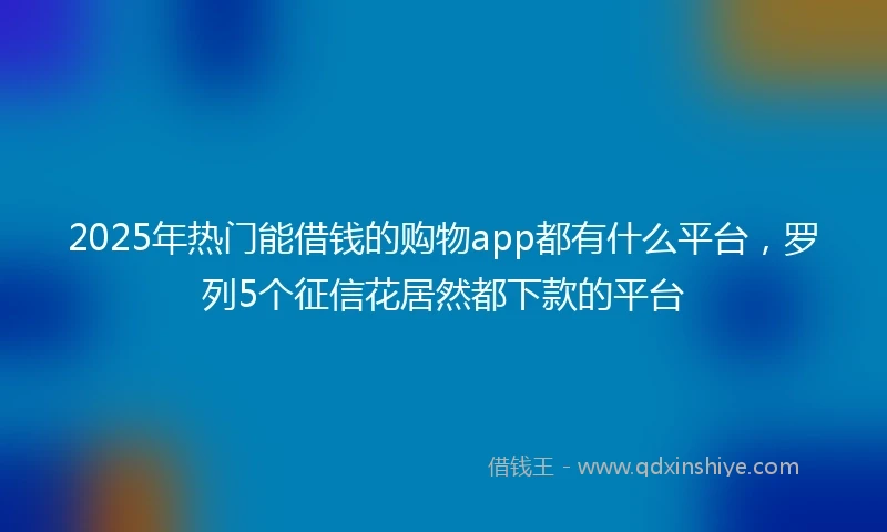 2025年热门能借钱的购物app都有什么平台，罗列5个征信花居然都下款的平台