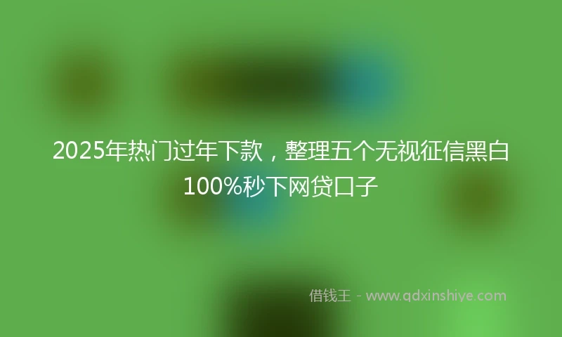 2025年热门过年下款，整理五个无视征信黑白100%秒下网贷口子