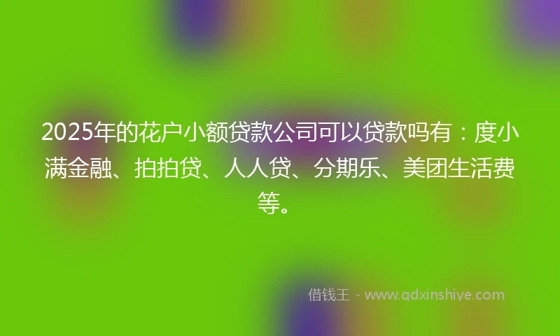 2025年的花户小额贷款公司可以贷款吗有：度小满金融、拍拍贷、人人贷、分期乐、美团生活费等。