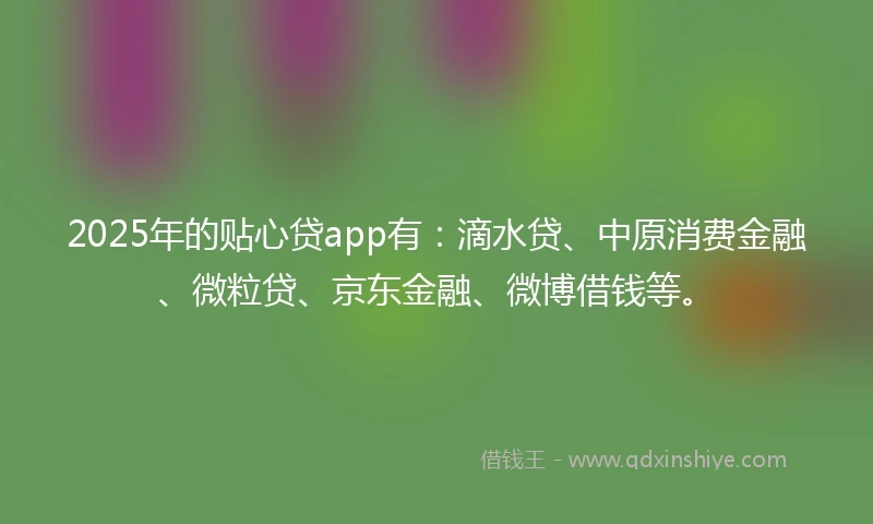 2025年的贴心贷app有：滴水贷、中原消费金融、微粒贷、京东金融、微博借钱等。