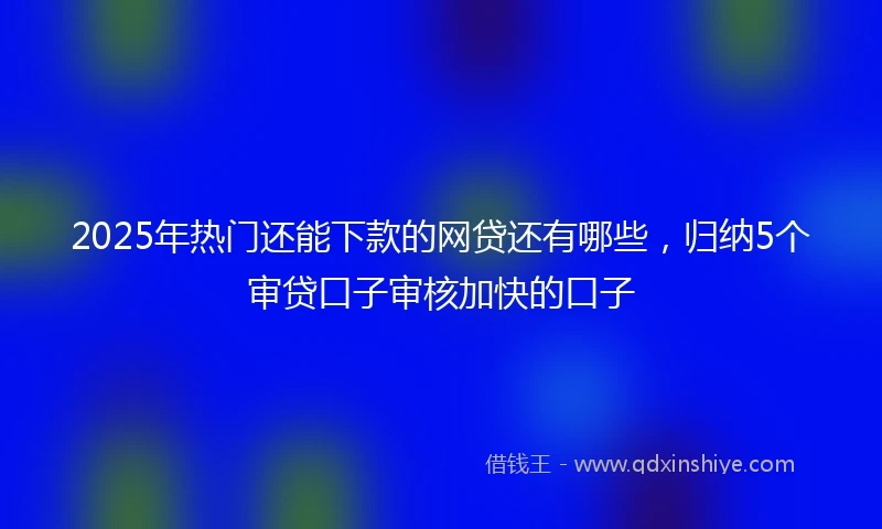 2025年热门还能下款的网贷还有哪些，归纳5个审贷口子审核加快的口子