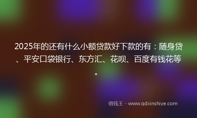 2025年的还有什么小额贷款好下款的有：随身贷、平安口袋银行、东方汇、花呗、百度有钱花等。