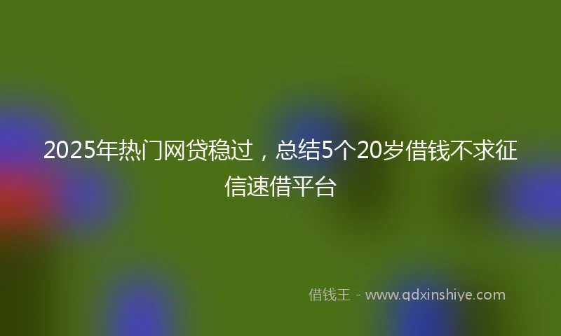 2025年热门网贷稳过，总结5个20岁借钱不求征信速借平台