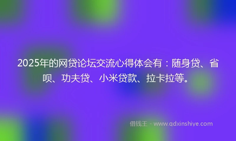 2025年的网贷论坛交流心得体会有：随身贷、省呗、功夫贷、小米贷款、拉卡拉等。
