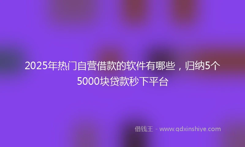 2025年热门自营借款的软件有哪些，归纳5个5000块贷款秒下平台