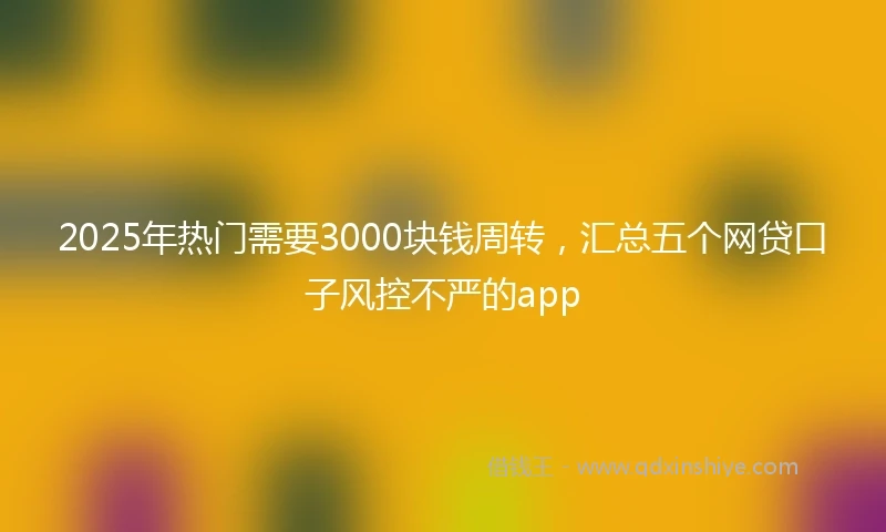 2025年热门需要3000块钱周转，汇总五个网贷口子风控不严的app