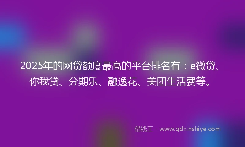 2025年的网贷额度最高的平台排名有：e微贷、你我贷、分期乐、融逸花、美团生活费等。