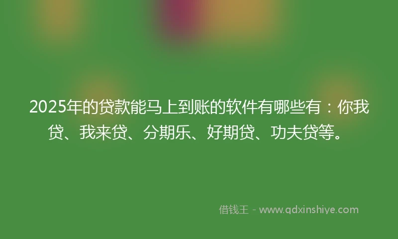 2025年的贷款能马上到账的软件有哪些有：你我贷、我来贷、分期乐、好期贷、功夫贷等。