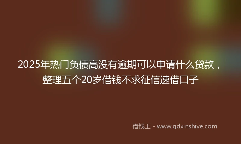 2025年热门负债高没有逾期可以申请什么贷款，整理五个20岁借钱不求征信速借口子
