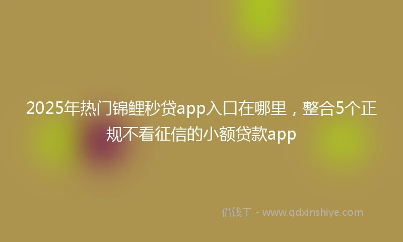 2025年热门锦鲤秒贷app入口在哪里，整合5个正规不看征信的小额贷款app