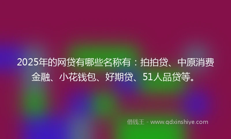 2025年的网贷有哪些名称有：拍拍贷、中原消费金融、小花钱包、好期贷、51人品贷等。