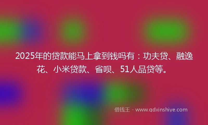 2025年的贷款能马上拿到钱吗有：功夫贷、融逸花、小米贷款、省呗、51人品贷等。