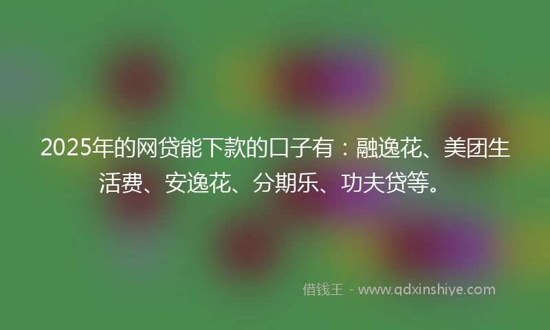 2025年的网贷能下款的口子有：融逸花、美团生活费、安逸花、分期乐、功夫贷等。