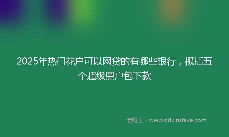 2025年热门花户可以网贷的有哪些银行，概括五个超级黑户包下款