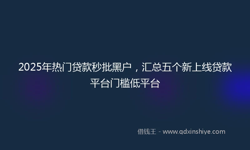 2025年热门贷款秒批黑户，汇总五个新上线贷款平台门槛低平台
