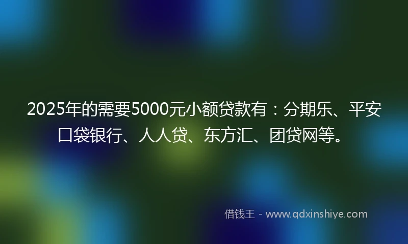 2025年的需要5000元小额贷款有：分期乐、平安口袋银行、人人贷、东方汇、团贷网等。