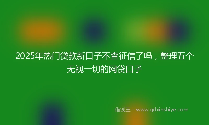 2025年热门贷款新口子不查征信了吗，整理五个无视一切的网贷口子