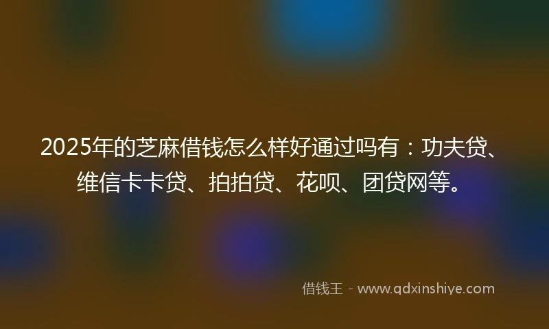 2025年的芝麻借钱怎么样好通过吗有：功夫贷、维信卡卡贷、拍拍贷、花呗、团贷网等。