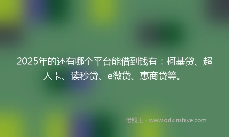 2025年的还有哪个平台能借到钱有：柯基贷、超人卡、读秒贷、e微贷、惠商贷等。