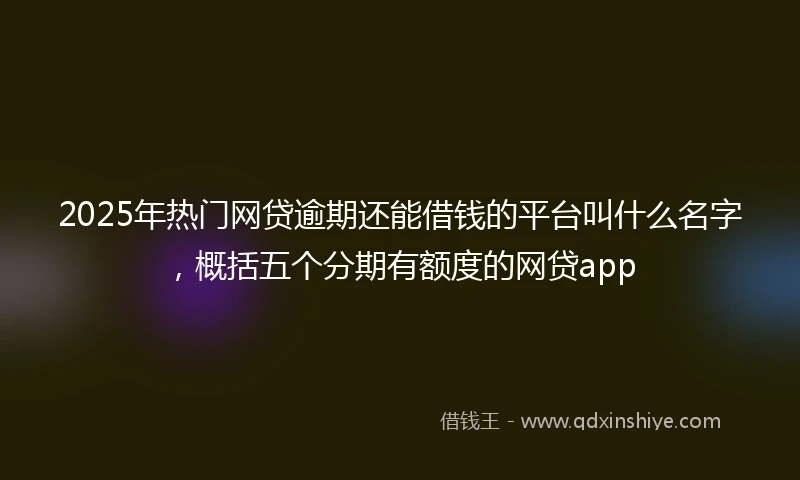 2025年热门网贷逾期还能借钱的平台叫什么名字，概括五个分期有额度的网贷app