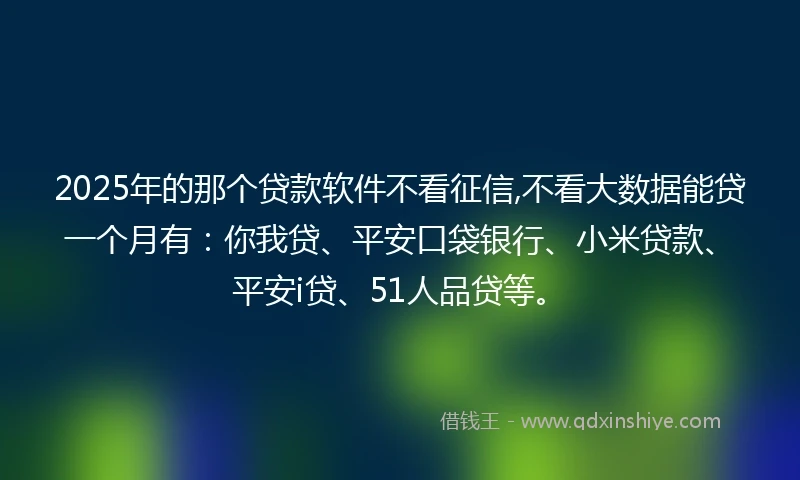 2025年的那个贷款软件不看征信,不看大数据能贷一个月有：你我贷、平安口袋银行、小米贷款、平安i贷、51人品贷等。