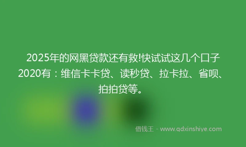 2025年的网黑贷款还有救!快试试这几个口子2020有：维信卡卡贷、读秒贷、拉卡拉、省呗、拍拍贷等。