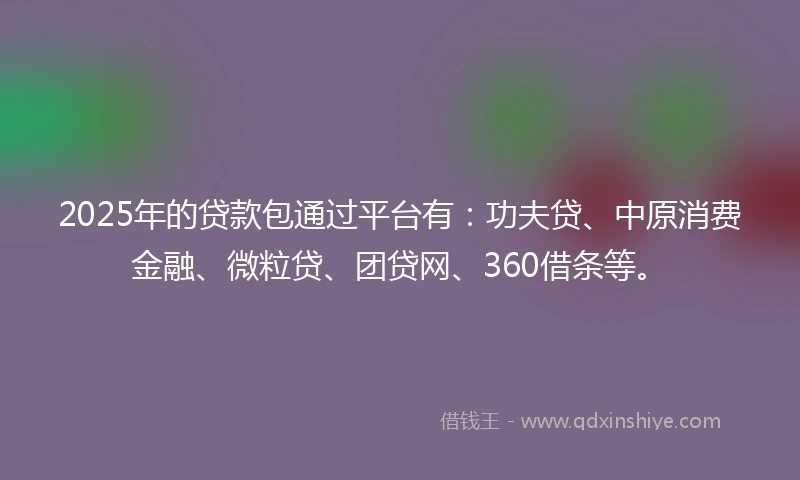 2025年的贷款包通过平台有：功夫贷、中原消费金融、微粒贷、团贷网、360借条等。
