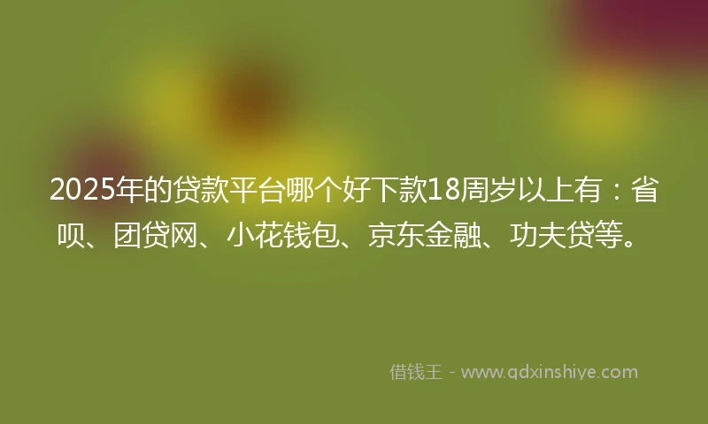 2025年的贷款平台哪个好下款18周岁以上有：省呗、团贷网、小花钱包、京东金融、功夫贷等。
