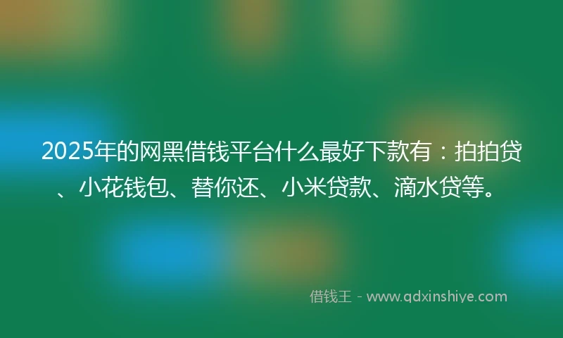 2025年的网黑借钱平台什么最好下款有：拍拍贷、小花钱包、替你还、小米贷款、滴水贷等。