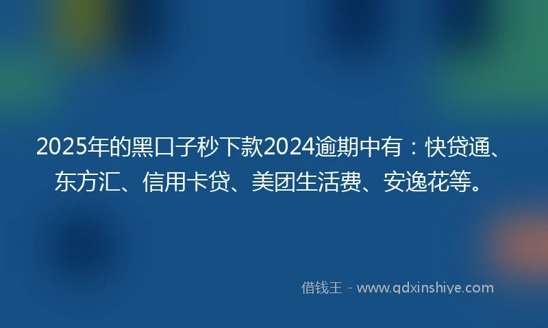 2025年的黑口子秒下款2024逾期中有：快贷通、东方汇、信用卡贷、美团生活费、安逸花等。
