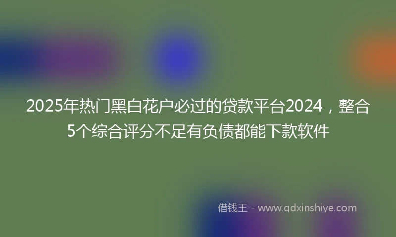 2025年热门黑白花户必过的贷款平台2024，整合5个综合评分不足有负债都能下款软件