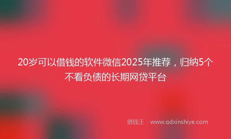 20岁可以借钱的软件微信2025年推荐，归纳5个不看负债的长期网贷平台