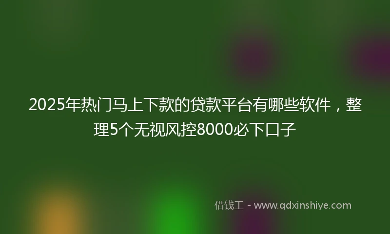 2025年热门马上下款的贷款平台有哪些软件，整理5个无视风控8000必下口子