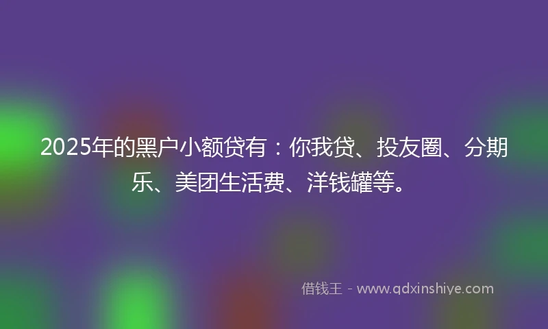 2025年的黑户小额贷有：你我贷、投友圈、分期乐、美团生活费、洋钱罐等。