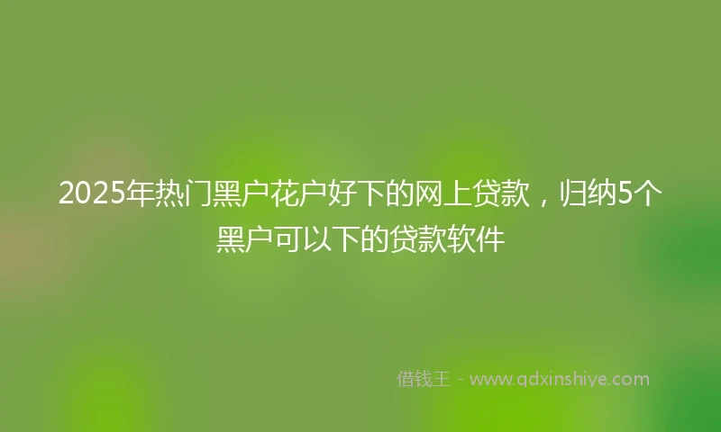 2025年热门黑户花户好下的网上贷款，归纳5个黑户可以下的贷款软件