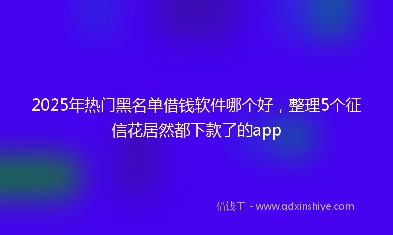 2025年热门黑名单借钱软件哪个好，整理5个征信花居然都下款了的app