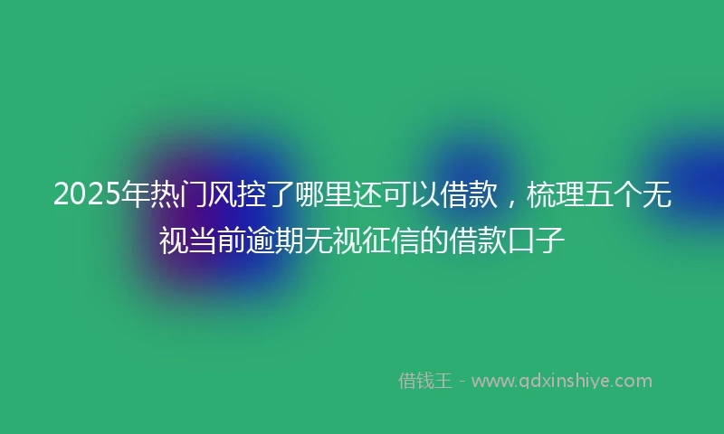 2025年热门风控了哪里还可以借款，梳理五个无视当前逾期无视征信的借款口子